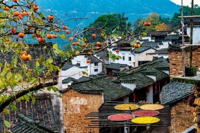 Ngôi làng cổ Wuyuan